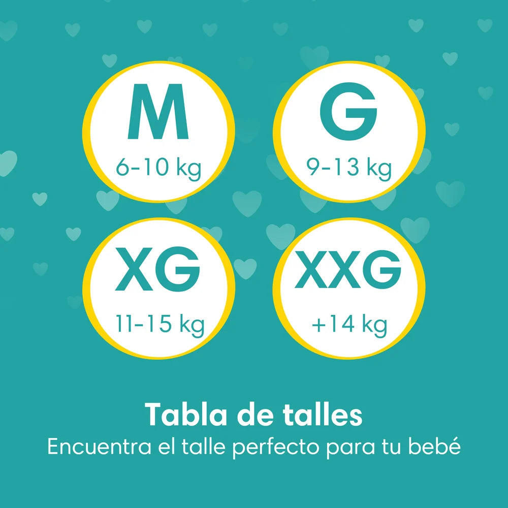 Pants Pampers Premium Care M - 78 unidades
