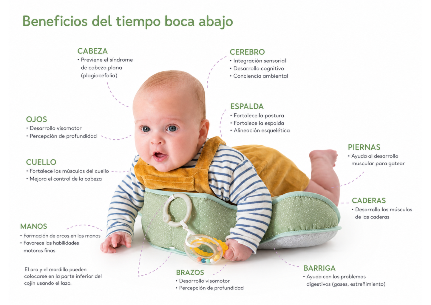 Almohadón de Estimulación para Bebé - Juegos y Actividades - Taf Toys