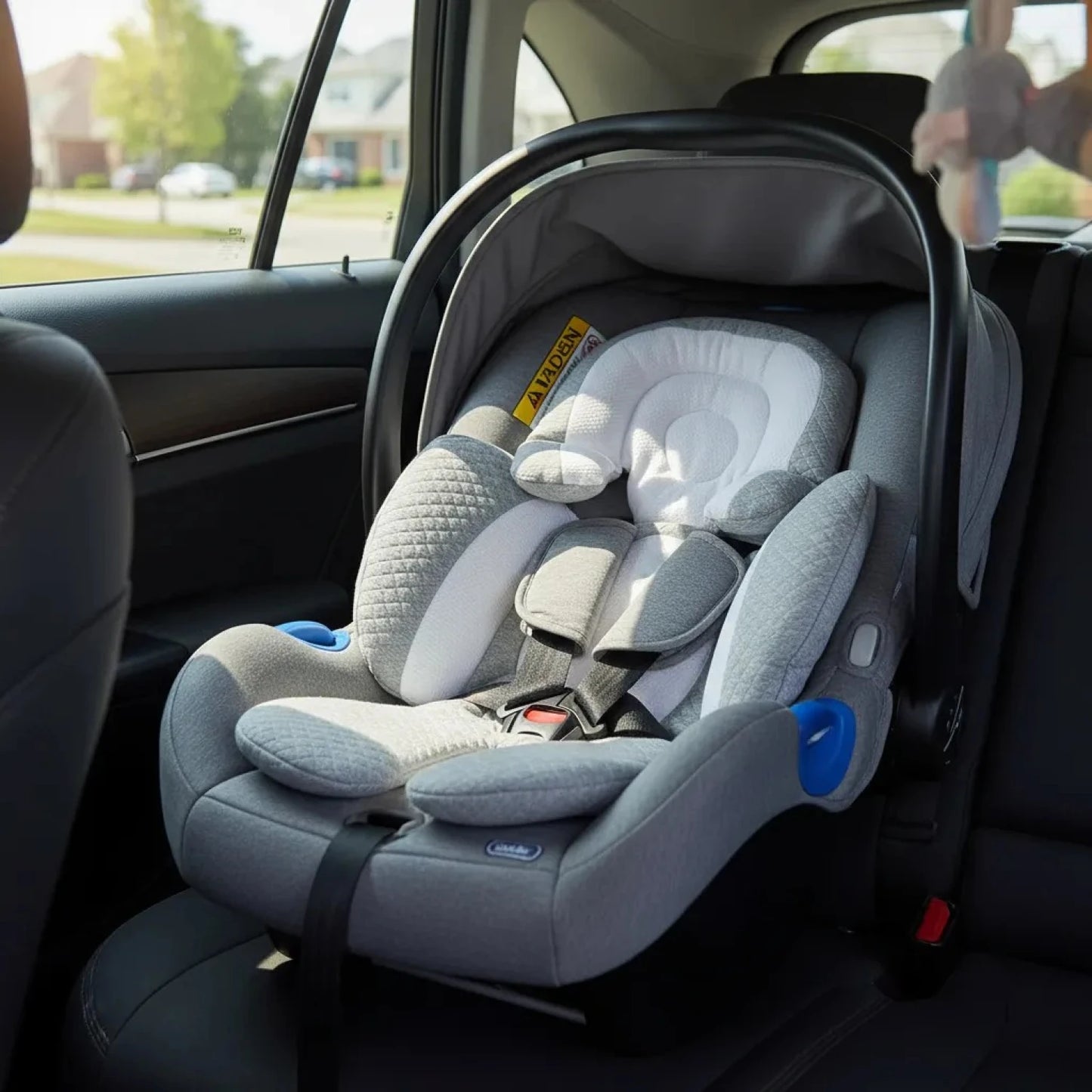 Reductor de Coche Buba